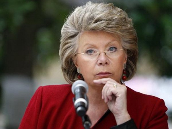 ЕС старается найти меры, направленные на пресечение развития ультраправой группировки